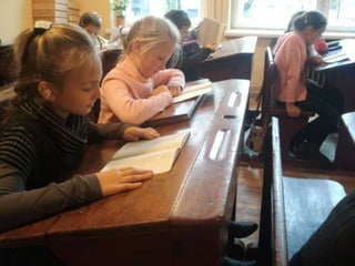 Boružiukų metraštis