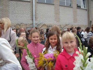 Boružiukų metraštis