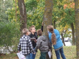 Boružiukų metraštis