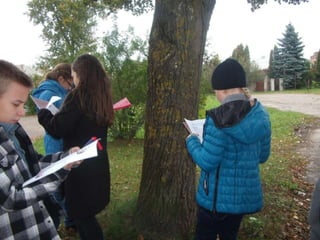 Boružiukų metraštis