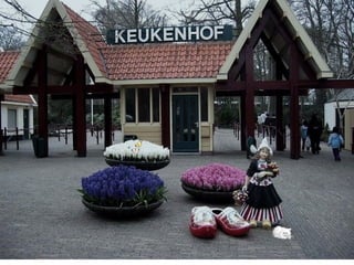 Beautiful Keukenhof Gardens of Holland