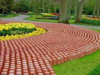 Keukenhof - HOLLANDA
