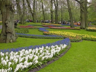 Keukenhof - HOLLANDA