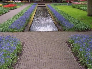 Keukenhof - HOLLANDA