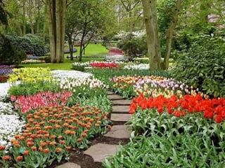 Keukenhof - HOLLANDA