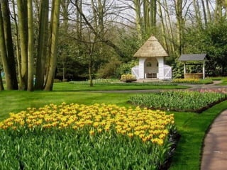 Keukenhof - HOLLANDA