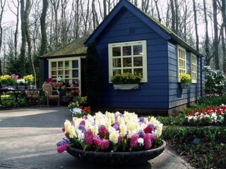 Keukenhof - HOLLANDA