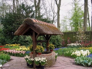 Keukenhof - HOLLANDA
