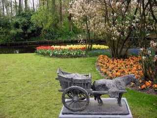 Keukenhof - HOLLANDA