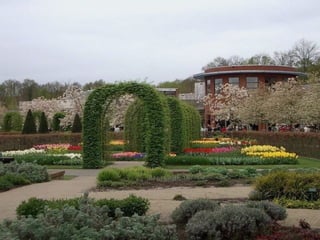 Keukenhof - HOLLANDA