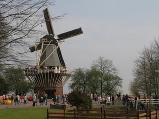 Keukenhof - HOLLANDA
