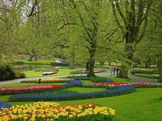 Keukenhof - HOLLANDA
