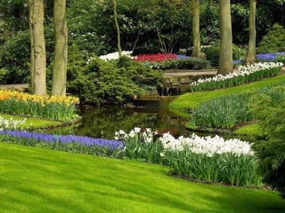 Keukenhof - HOLLANDA
