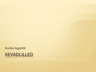 Aurika Aganitš 
KEVADLILLED 
 