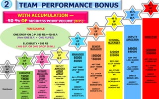 Team Performance Bonus Examples Keva new business plan ppt 2015... | PPSX