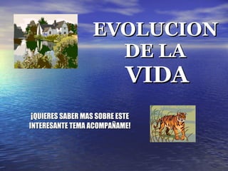 EVOLUCION  DE LA  VIDA ¡ QUIERES SABER MAS SOBRE ESTE INTERESANTE TEMA ACOMPAÑAME! 
