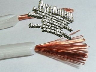 Para evitar riesgos La electricidad, sino somosprudentes,  puede ser tan útil como PELIGRASA. Por eso. . . Tené en cuenta estos  consejos. 