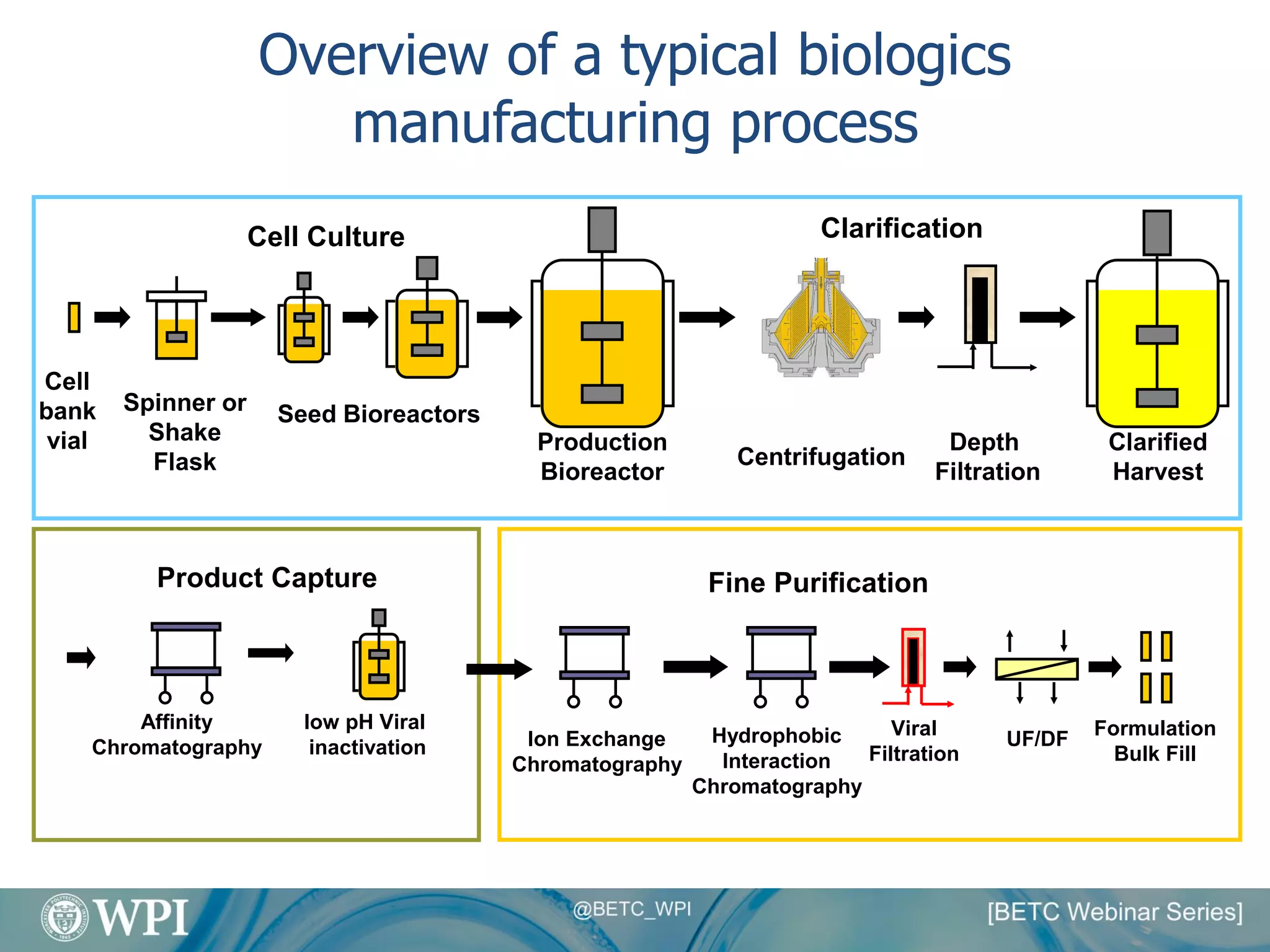 Overview of a typical biologics
manufacturing process
Ion Exchange
Chromatography
Hydrophobic
Interaction
Chromatography
Viral
Filtration
UF/DF
Fine Purification
Formulation
Bulk Fill
Affinity
Chromatography
Product Capture
low pH Viral
inactivation
Spinner or
Shake
Flask
Cell
bank
vial
Seed Bioreactors
Production
Bioreactor
Depth
Filtration
Cell Culture
Clarified
Harvest
Centrifugation
Clarification
 