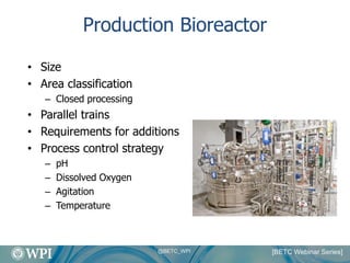 An Overview of Biologics Manufacturing Processes and Things to Consider ...