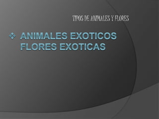 TIPOS DE ANIMALES Y FLORES
 