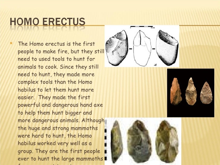 Kevin C. tools used by early people