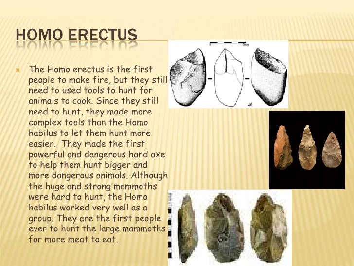 Tools used by early people