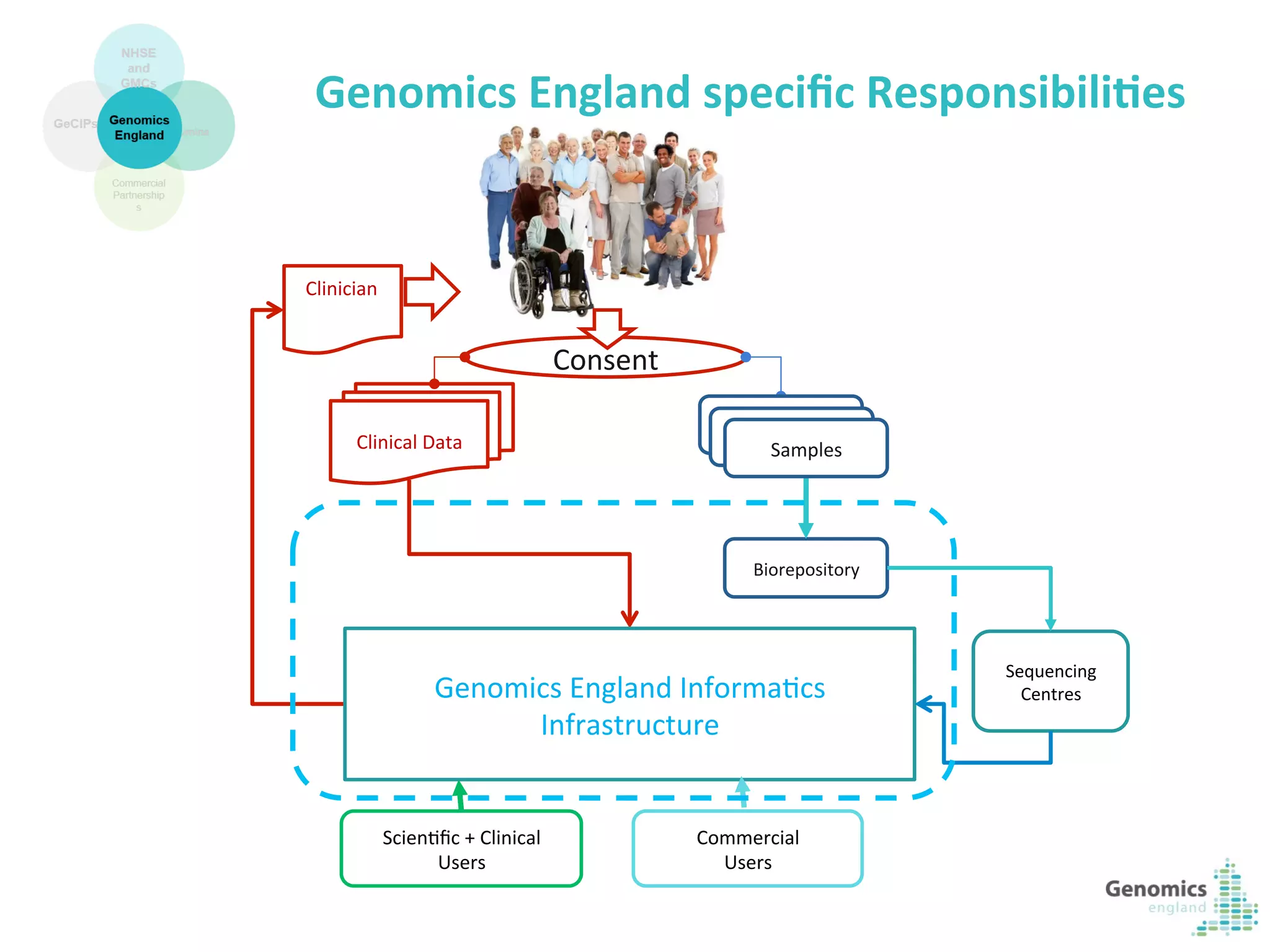 12	
  
Genomics	
  England	
  speciﬁc	
  Responsibili?es	
  
Sequencing	
  
Centres
Biorepository	
  
Consent	
  
Clinical	
  Data
Samples	
  
Samples	
  
Samples	
  
Clinician
Genomics	
  England	
  InformaKcs	
  
Infrastructure	
  
ScienKﬁc	
  +	
  Clinical	
  
Users	
  
Commercial	
  
Users	
  
 