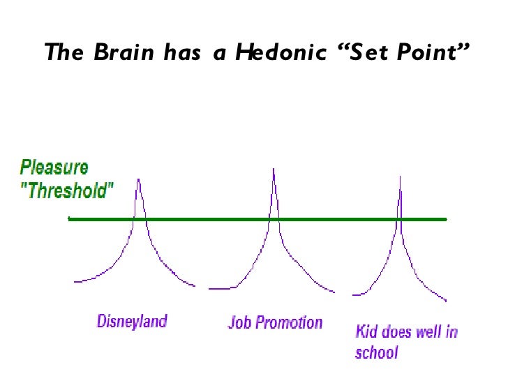 Image result for hedonic set point and dopamine and addiction