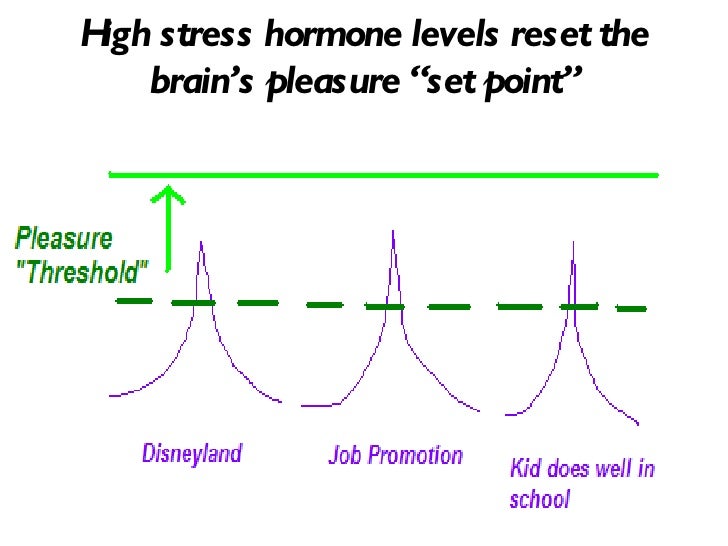 Image result for hedonic set point and dopamine and addiction