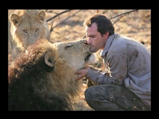 Kevin richardson