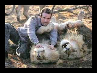 Kevin richardson