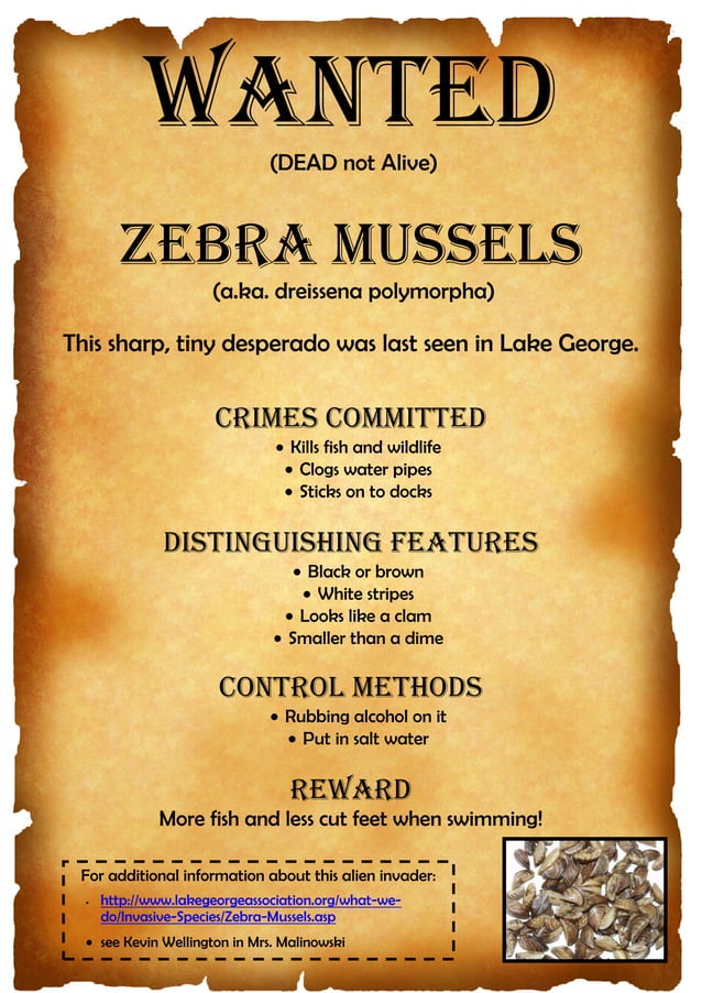 Kevin wellington PDF