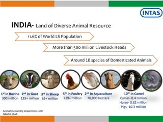 Vijay Teng, Executive Vice President, Intas Animal Health | PPTX