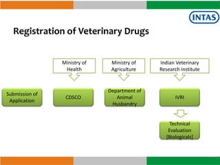 Vijay Teng, Executive Vice President, Intas Animal Health | PPTX