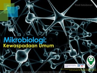 Kewaspadaan Umum
Badan Pengembangan dan Pemberdayaan Sumber Daya Manusia
Pusat Pendidikan dan Pelatihan Tenaga Kesehatan
http://medstudenthelp.com/wp-content/uploads/2013/01/20-b-w-neurons-1680x1050-3d-wallpaper.jpg
Mikrobiologi:
Prodi Kebidanan
 