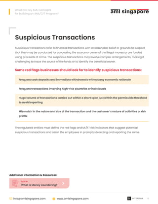 AML Fundamentals: Strengthening Your Financial Crime Defenses | PDF