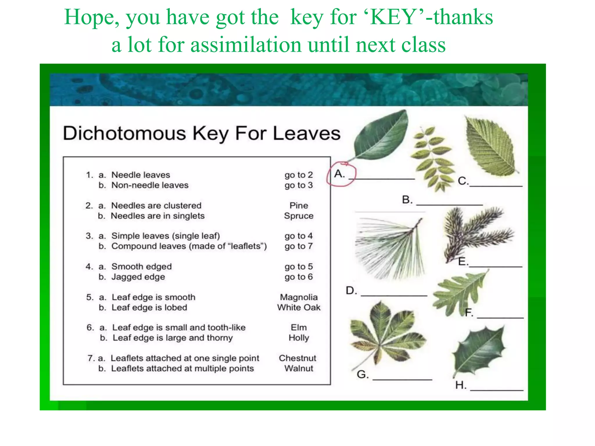 Hope, you have got the key for ‘KEY’-thanks
a lot for assimilation until next class
 