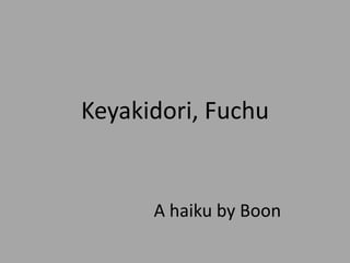 Keyakidori, Fuchu A haiku by Boon 