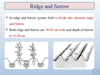 Parallel Furrow Versus Ridge Climate change on agriculture, a unique chapter | PPTX