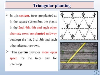 crop geometry and production configuration | PPTX