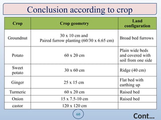 crop geometry and production configuration | PPTX