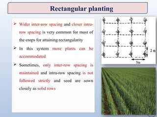 crop geometry and production configuration | PPTX