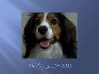 Died Aug. 20th 2010