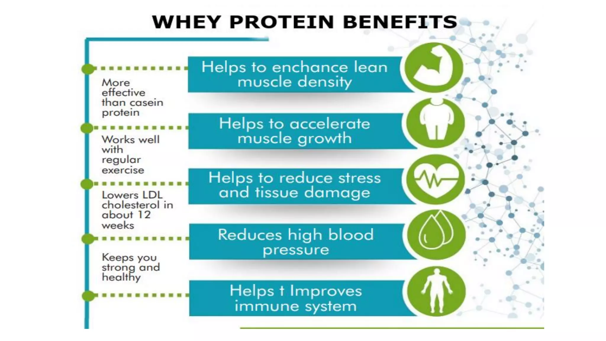 Benefits Of Whey Protein Isolate For Weight Loss