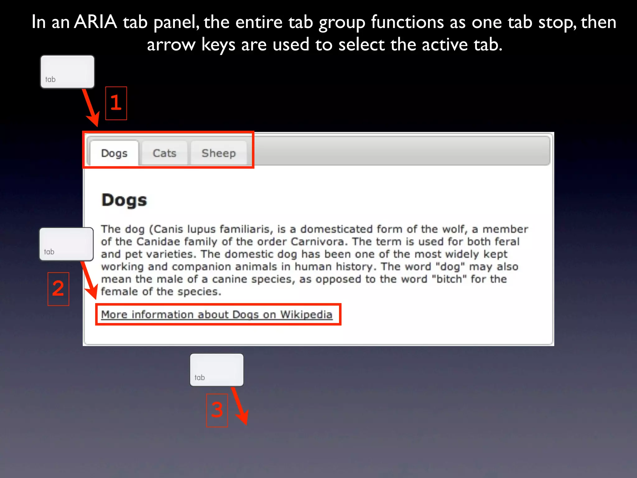 In an ARIA tab panel, the entire tab group functions as one tab stop, then
arrow keys are used to select the active tab.
1
3
2
 