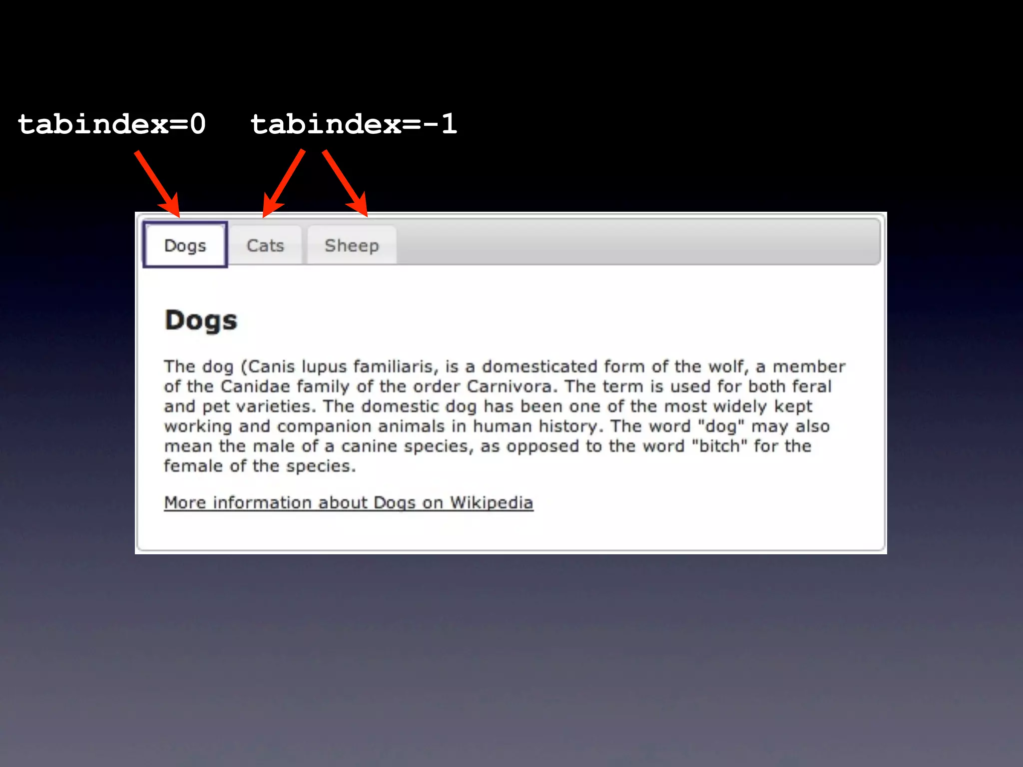 tabindex=0 tabindex=-1
 