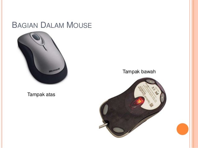Image result for bagian bagian mouse