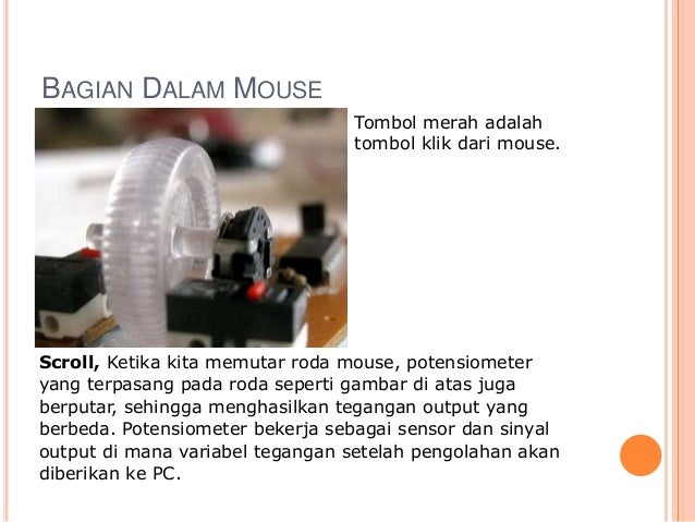 Image result for SCROLL DALAM mouse