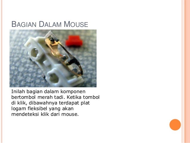 Image result for SCROLL DALAM mouse