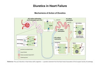 Diuretics in Heart Failure
Mechanisms of Action of Diuretics
Reference: The use of diuretics in heart failure with congestion — a position statement from the Heart Failure Association of the European Society of Cardiology
 